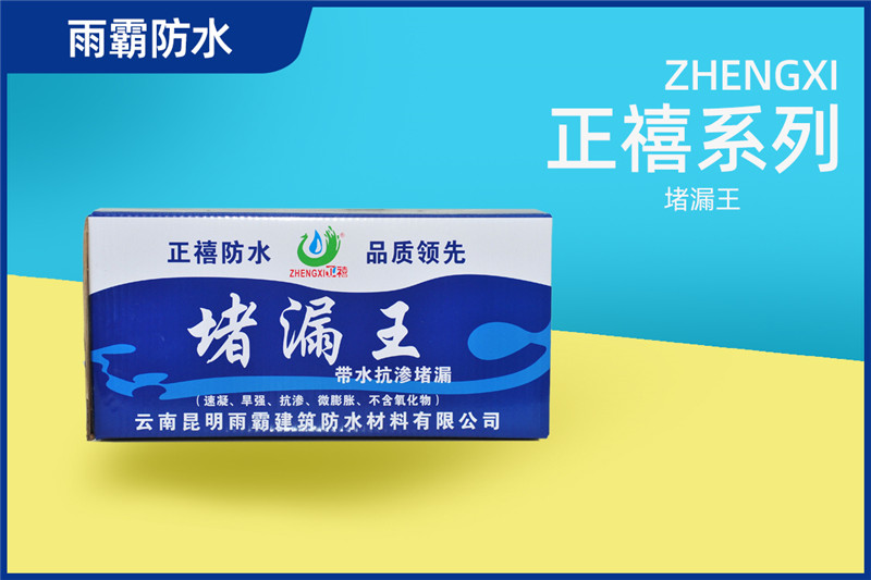 正禧堵漏王